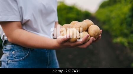 Mani di donna con patate biologiche in piedi all'aperto nel giardino. Agricoltura vegetale biologica. Ambiente di paese. Lavoratore agricolo. Foto Stock