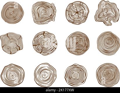 Tronchi di pino tagliato. Anelli di alberi di foresta, sezionatura naturale e tronco sezione trasversale. Set vettoriale stencil con anelli cerchiati in legno Illustrazione Vettoriale