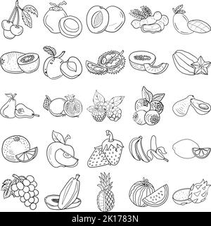 Set di contorni d'arte Doodle Line di frutta disegnata a mano contenente cocomero, mango, avocado, melone, Tamarind, Durian, mela, frutto del drago, melograno Illustrazione Vettoriale