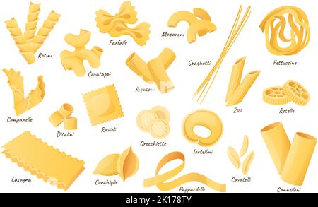 Forme di pasta italiana. Fettuccine, spaghetti e lasagne. Cannelloni secchi, ravioli e maccheroni. Set di illustrazioni vettoriali per ingredienti di pasta Illustrazione Vettoriale