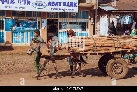 DEMEBECHA, ETIOPIA, APRILE 20,2019. Strada etiope al mattino, ragazzi con asino con carrello trasporto tronchi di legno. Demebecha, Etiopia, aprile 20. Foto Stock
