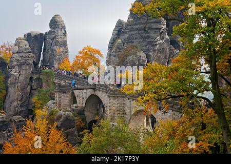 Parco Nazionale della Svizzera Sassone, fogliame autunnale, Sassonia, Germania Foto Stock