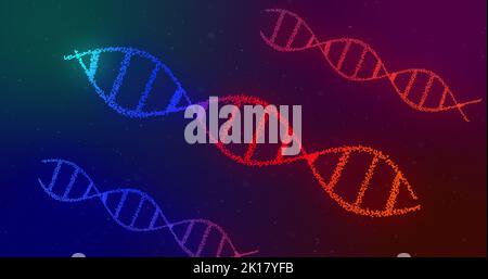 Immagine di più filamenti di DNA a doppia elica 3D rossi e blu incandescenti, che ruotano su sfondo a gradiente. Concetto digitale di scienza genetica della medicina Foto Stock