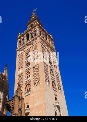 Vista panoramica sulla Giralda di Siviglia Foto Stock