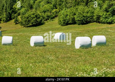 Gruppo di balle di fieno imballate con plastica bianca su un prato verde soleggiato, Alpi Giulie, Parco Nazionale del Triglav, Gorenjska (Carniola superiore), Slovenia, Europa Foto Stock