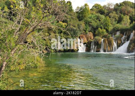 Alberi, foresta e parte delle cascate di Skradinski Buk nel Parco Nazionale di Krka, Croazia, Europa. Foto Stock