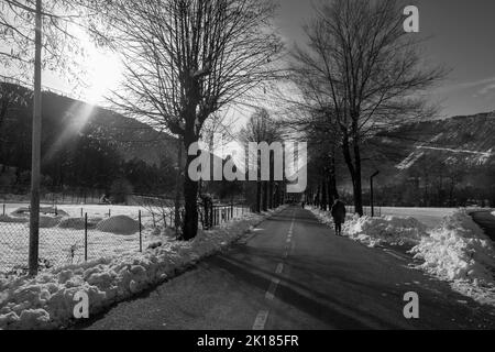 Una scala di grigi di una strada rurale in inverno Foto Stock