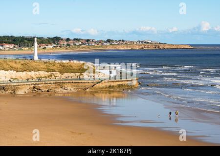 Un paio di cani da passeggio sulla spiaggia di Roker, Sunderland, Inghilterra, Regno Unito Foto Stock