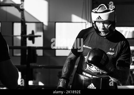 Robert Helenius, pesantezza maggiore finlandese, spara nella sua palestra di allenamento a Mariehamn, a Åland, in Finlandia. Fotografia: Rob Watkins/Alamy Foto Stock