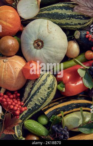 Sul tavolo sono disposte diverse verdure autunnali mature. Vista dall'alto. Sfondo di fresco Vegets.The concetto di uno stile di vita sano. Foto Stock