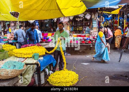 Mysore, Karnataka, India : Un venditore prepara fiori garlandss in uno stallo nel mercato di Devaraja. Foto Stock