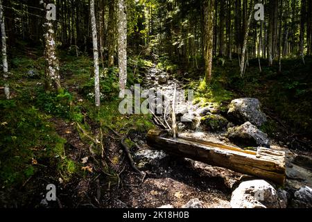 Vista di un tronco di alberi di legno che serve come un abbeveratoio per la fornitura continua di acqua dolce per gli escursionisti sulle montagne austriache Foto Stock