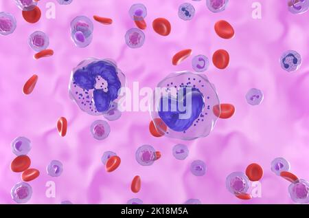 Leucemia mielogena cronica (LMC) cellule nel flusso sanguigno - vista closeup 3D illustrazione Foto Stock