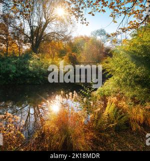 Colorato scenario autunnale in un parco con il sole riflesso in acqua, cielo blu e bella vegetazione che incornicia la scena Foto Stock