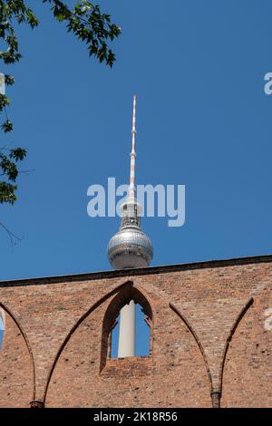 Berliner Fernsehturm (torre della televisione di Berlino) come si vede dalle rovine Franziskaner-Klosterkirche (Chiesa gotica francescana fondata nel 1250). Mitte, Berlino. GE Foto Stock