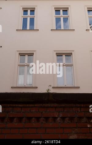 Vecchio quartiere Spandauer. Mitte, Berlino. Germania Foto Stock