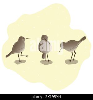 tre uccelli kiwi su uno sfondo chiaro Foto Stock