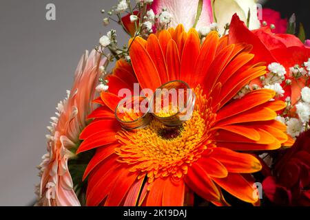 Anelli di nozze e rosa rossa Foto Stock