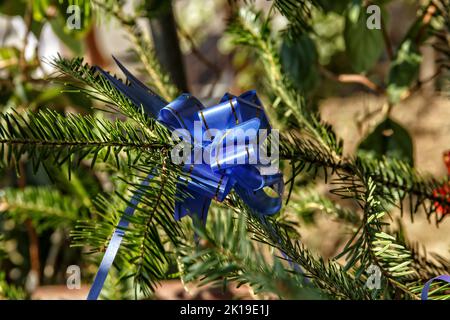 Disposizione di nozze Foto Stock