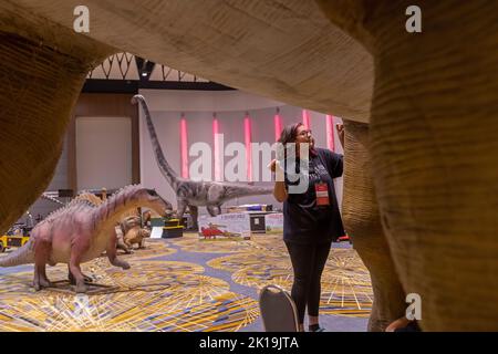 Detroit, Michigan, Stati Uniti. 15th Set, 2022. I lavoratori di Ultimate Fun Productions uniscono i dinosauri che verranno esposti durante il Detroit Auto Show. Credit: Jim West/Alamy Live News Foto Stock