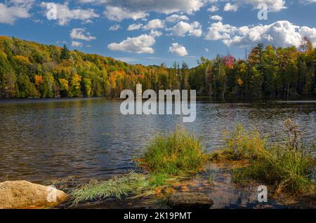 La costa del lago Hugoboom nella foresta nazionale di Hiawatha inizia a mostrare i loro colori autunnali all'inizio di ottobre, Delta County, Michigan Foto Stock