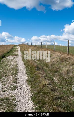 Percorso costiero ben calpestato a Studland, Poole nel Dorset UK Foto Stock