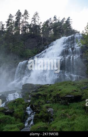 Paesaggi meravigliosi in Norvegia. Vestland. Splendido scenario della cascata Svandalsfossen sul fiordo di Saudafjorden. Montagne e alberi su rocce in bac Foto Stock