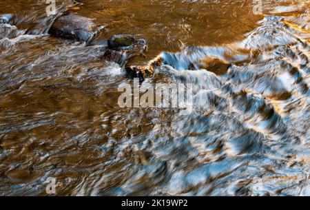 La luce dorata si riflette nelle acque del Little River lungo Laurel Canyon Road nel Great Smoky Mountains National Park, Blount County, Tennessee Foto Stock