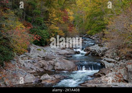 I colori autunnali si mostrano lungo il Little River da un'area chiamata 'Lavelli' nel Great Smoky Mountains National Park, Blount County, Tennessee Foto Stock