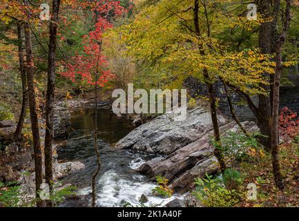 I colori dell'autunno si mostrano lungo il Little River in un'area chiamata 'sks', il Parco Nazionale delle Great Smoky Mountains, la Contea di Blount, Tennessee Foto Stock