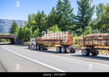 Classic Logging Day Cab trattore semirimorchio grande carro che trasporta tronchi di legno su due semirimorchi che corrono su una strada tortuosa con ponte ad arco Foto Stock