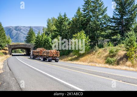 Classic Logging Day Cab trattore semirimorchio grande carro che trasporta tronchi di legno su due semirimorchi che corrono su una strada tortuosa con ponte ad arco Foto Stock