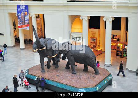 Chicago, Illinois, Stati Uniti. Famose statue di elefanti nella sala principale del Field Museum of Natural History. Foto Stock