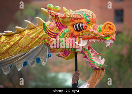 Danza tradizionale del drago cinese con primo piano della testa del drago al Chinatown Street Festival di Calgary, Canada Foto Stock