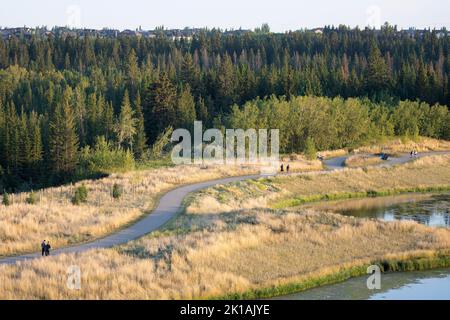 Percorso a piedi attraverso il Fish Creek Provincial Park, un popolare parco urbano di Calgary Foto Stock