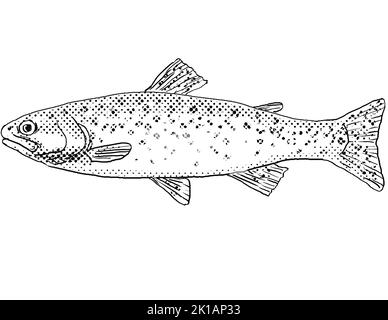 Disegno a linee in stile cartoon di una trota di taglio o Oncorhynchus clarkii un pesce di acqua dolce endemico del Nord America con punti a mezzitoni ombreggiati sull'isola Foto Stock