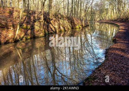 Vista lungo un canale inglese nel Worcestershire che mostra una curva nel canale attraverso alberi con foglie cadute, il canale che mostra uno specchio degli alberi. Foto Stock