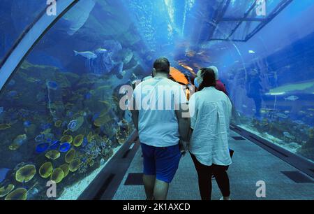 DUBAI, Emirati Arabi Uniti - 5 maggio 2022: Durante la pandemia della corona, le persone si trovano all'interno del tunnel Oceanarium del Dubai Mall. Acquario del Dubai Mall Foto Stock