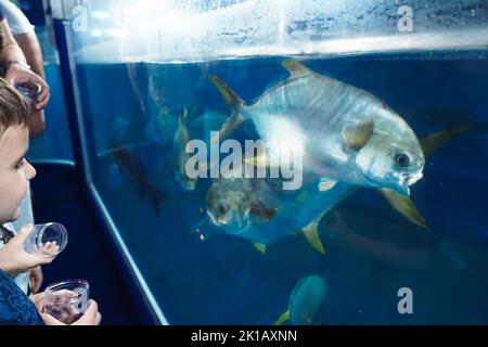 DUBAI, Emirati Arabi Uniti - 5 maggio 2022: Durante la pandemia della corona, le persone si trovano all'interno del tunnel Oceanarium del Dubai Mall. Acquario del Dubai Mall Foto Stock