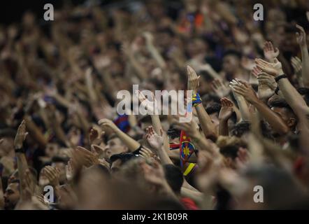 Bucarest, Romania - 15 settembre 2022: Profondità di campo poco profonda (fuoco selettivo) dettagli con FCSB (Fotbal Club Steaua Bucuresti) sostenitori durante un Foto Stock