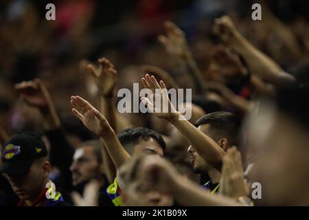 Bucarest, Romania - 15 settembre 2022: Profondità di campo poco profonda (fuoco selettivo) dettagli con FCSB (Fotbal Club Steaua Bucuresti) sostenitori durante un Foto Stock