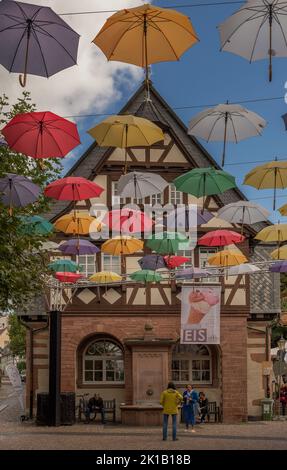 Vecchio Municipio, Hofheim am Taunus, Assia, Germania Foto Stock