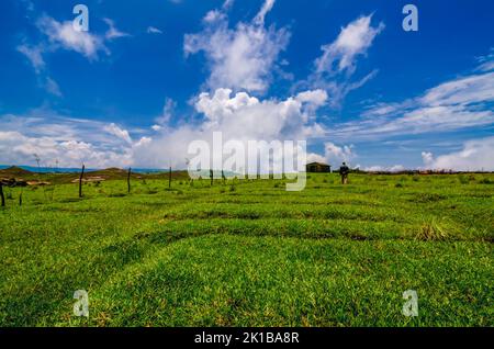 Un uomo che cammina lungo un prato aperto situato al di fuori di Mawsynram, East Khasi Hills, Meghalaya, India. Foto Stock