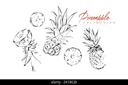 Disegnato a mano vettore astratto esotico grafica inchiostro textured frutti tropicali ananas illustrazioni collezione set schizzo disegno isolato su bianco Illustrazione Vettoriale