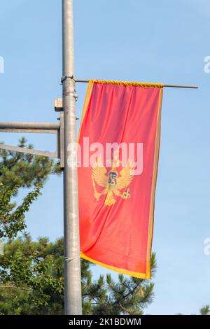 Variante verticale della bandiera della Repubblica di Montenegro. Foto Stock