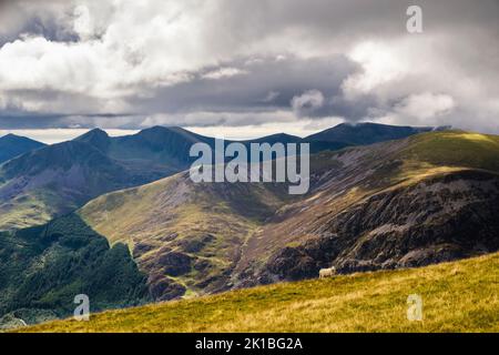 Vista sulla foresta di Beddgelert e Mynydd Mawr fino alla catena montuosa di Nantlle Ridge da Moel Eilio nel Parco Nazionale di Snowdonia. Llanberis Gwynedd Wales UK Foto Stock