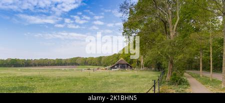 Panorama di una piccola casa ai piedi della collina Lemelerberg in Overijssel, Paesi Bassi Foto Stock