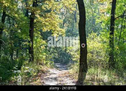 Fruska Gora montagna vicino Novi Sad, Serbia Foto Stock