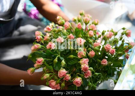 Primo piano di un piccolo bouquet di fiori Foto Stock
