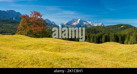 Prati di Mogul tra Mittenwald e Kruen, Werdenfelser Land, Zugspitze dietro, 2962m, Wetterstein Montagne, Alta Baviera, Baviera, Germania Foto Stock
